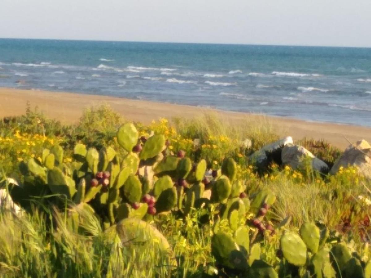 Вілла Casale Hibiscus Санта-Марія-дель-Фокалло Екстер'єр фото